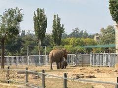 -石家庄市动物园
