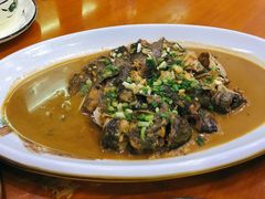 红烧鲶鱼-全乐鱼馆·淳牌有机鱼直营店