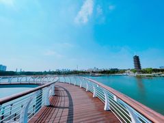 -葛仙湖公园
