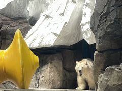 -海合安武汉极地海洋公园