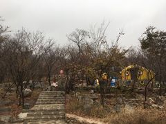 -博山九龙峪风景区