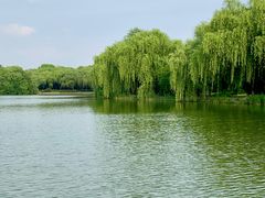-东华大学(松江校区)