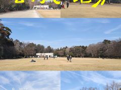 -井之头恩赐公园