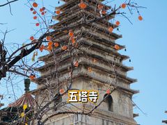 -北京石刻艺术博物馆(五塔寺)