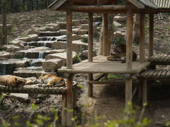 -扬州市茱萸湾风景区