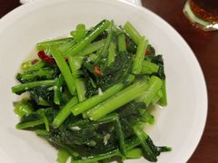 素炒苦凉菜-紫滇源云南生态菜(丹凤街店)