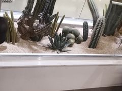 -超鹿运动(大唐世家店)