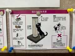 -美联众合爱康动物医院•复杂内科•肿瘤科•牙科•腔镜诊疗中心