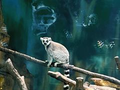 -齐齐哈尔龙沙动植物园