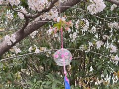 -高东镇樱花园