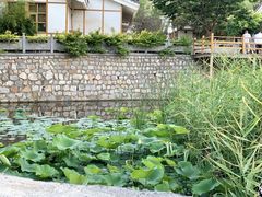 -禅宗少林·音乐大典