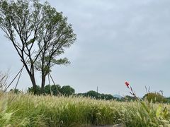 -良渚古城遗址公园