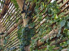 -中国天府农业博览园