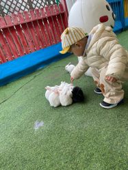 -萌宠亲子动物乐园(槐房万达店)