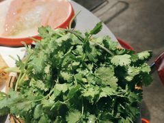 -生活如沸·顺德水牛奶火锅(大学路店)