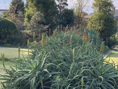-南紀白浜 浜千鳥の湯 海舟