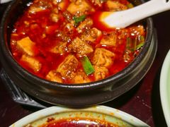 -陈麻婆豆腐总店