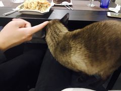 -吱咖啡西式简餐