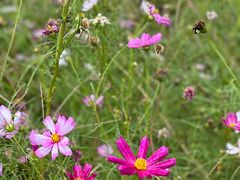 -广富林郊野公园