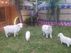 -大汗行宫园林餐厅