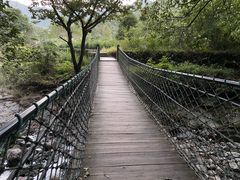 -石台牯牛降景区