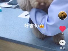 -瑞派宠物医院(锦江店)
