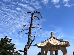 -华山风景名胜区