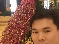 -鹤山碧桂园凤凰酒店