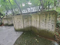 -莫干山风景区