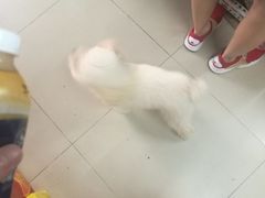 -天兴居(大兴店)