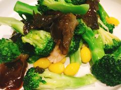 养生小炒-北京老铺烤鸭(高新店)