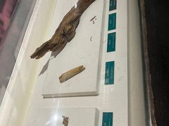 -王府井古人类文化遗址博物馆