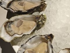 -Oyster Talks 四度蚝法餐厅
