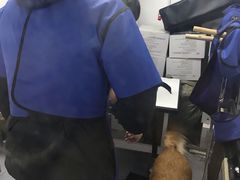 -达爱动物医院·犬猫分区·CT·复杂眼科(远洋山水分院)