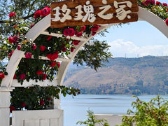 -阳宗海湿地