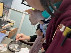 -纳吉亚猫专科动物诊疗中心(蒋宅口分院)