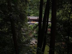 -青城山