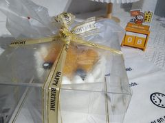 -今日·TODAY手作低脂动物奶油蛋糕定制(高新万达店)