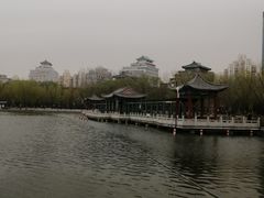 -莲花池公园