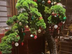 -牛村来人潮汕牛肉火锅(西单店)