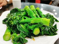 -红星光发煲仔饭(文海店)
