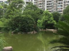 -新湖明珠城