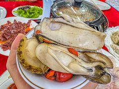 -花苑美食横琴生蚝火锅(拱北粤华路店)