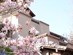 -静园(和平区)
