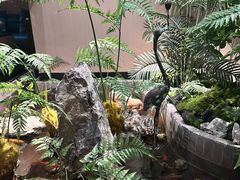 -鹤祥宫·影院足道·SPA连锁(苹果园店)
