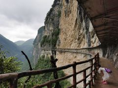 -鹿院坪生态旅游景区