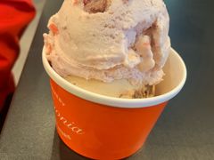 -Patagonia Chocolates(皇后镇店)