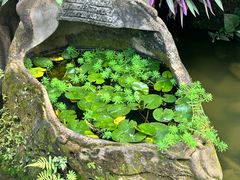 -观澜山水田园