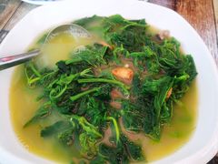 -东鸽皇(奥园·中环广场店)