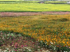 -光明小镇欢乐田园